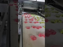 Professional PLC Controlled Laundry Pod Maker Efficiency Detergent Capsule Machine