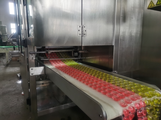 PLC Controlled Electric Laundry Pod Making Machine for Customized Production